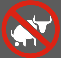 No Bull Shit