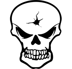 Skull with Bullet Hole